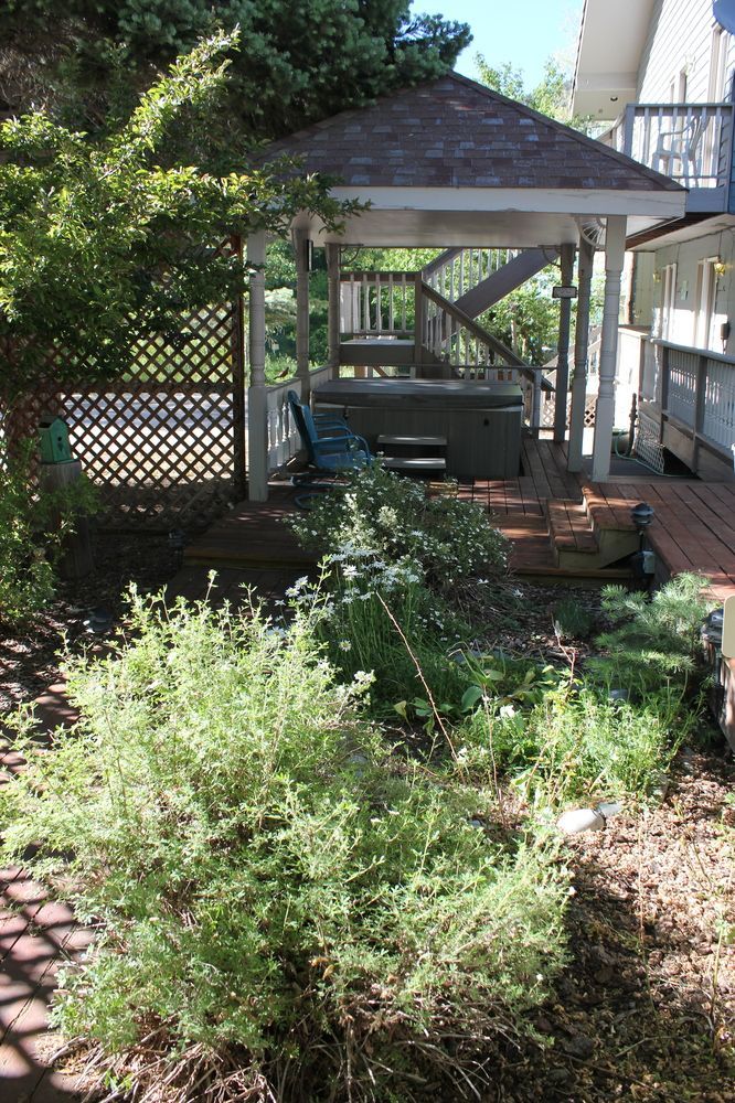 Black Bear Manor Bed and breakfast
